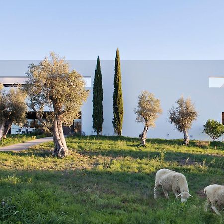 Villa Extramuros 아라이오로스 외부 사진